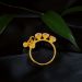 Captivating Charm Gold Nose Pin