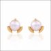 Charming Modern Gold Earrings