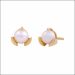 Charming Modern Gold Earrings