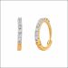 Classic Magnificence Diamond Earrings