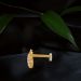 Radiant Circular Gold Nose Pin
