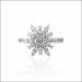 Blooming Brilliance Sterling Silver Ring