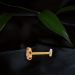 Cultural Radiance Gold Nose Pin