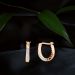 Timeless Beauty Rose Gold Hoop Earrings 