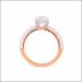 Magical Grace Rose Gold Ring