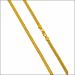 Splendid Chic Gold Chain