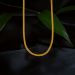 Splendid Chic Gold Chain