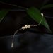 Floral Arch Diamond Bracelet