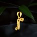 Novel N Gold Locket
