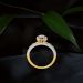 Sophisticated Halo Set Diamond Ring