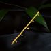 Striking Gracefulness Gold Bracelet