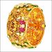 Aisshpra Kundan Gold Kada in 18 Kt Traditional Temple Style Jewellery for Women