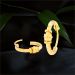 Aisshpra Gold Hoop Earrings in 22 Kt Daily Wear Jewellery for Women