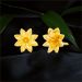 Aisshpra Gold Stud Earrings in 18 Kt for Women Sunflower-shaped Design Jewellery