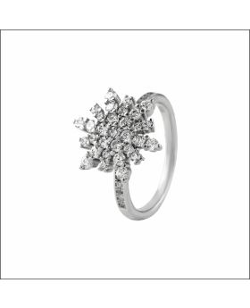 Blooming Brilliance Sterling Silver Ring