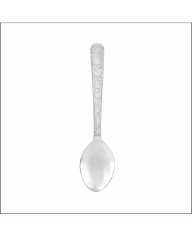 Enchanting Silver Spoon